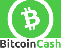 Bitcoin Cash Payment